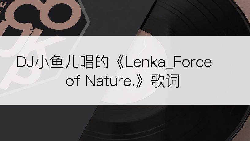 DJ小鱼儿唱的《Lenka_Force of Nature.》歌词