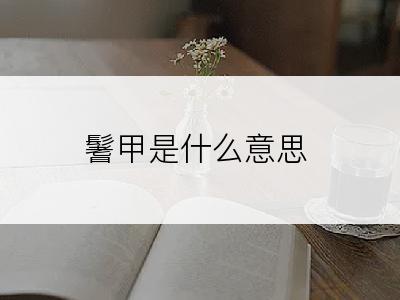 鬐甲是什么意思