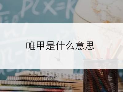 帷甲是什么意思