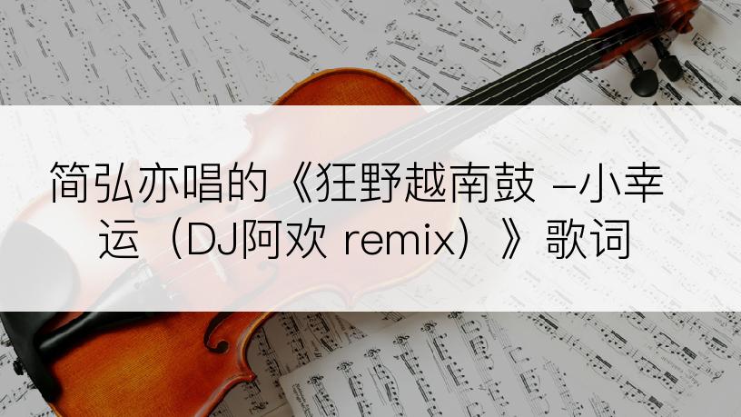 简弘亦唱的《狂野越南鼓 -小幸运（DJ阿欢 remix）》歌词