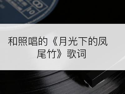 和照唱的《月光下的凤尾竹》歌词