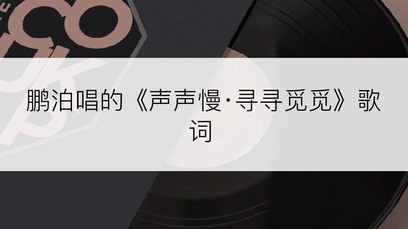 鹏泊唱的《声声慢·寻寻觅觅》歌词