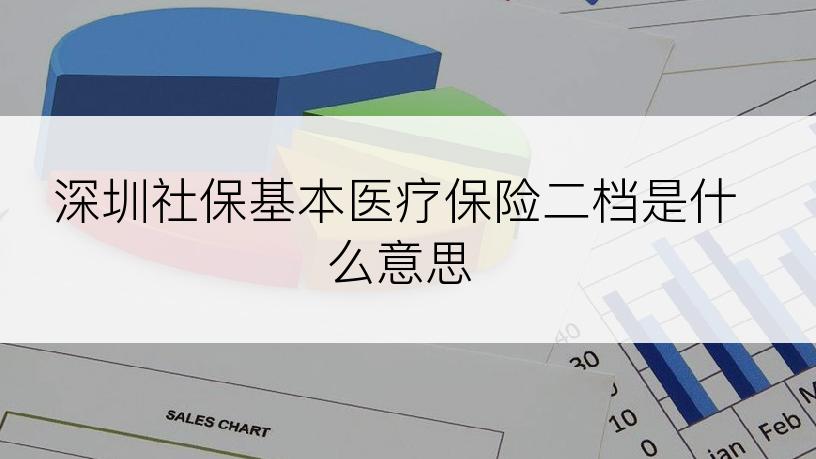 深圳社保基本医疗保险二档是什么意思