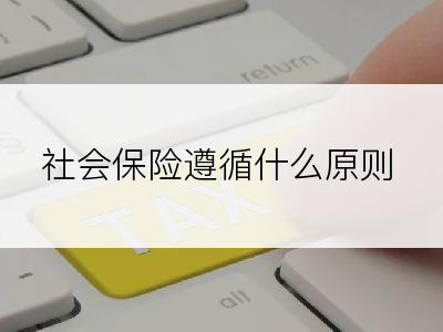 社会保险遵循什么原则