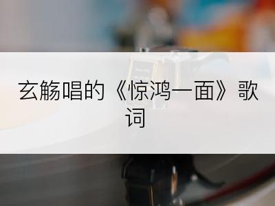 玄觞唱的《惊鸿一面》歌词