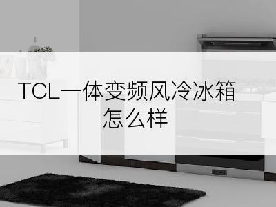 TCL一体变频风冷冰箱怎么样