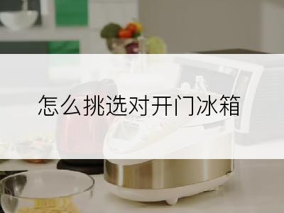 怎么挑选对开门冰箱