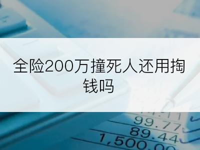 全险200万撞死人还用掏钱吗