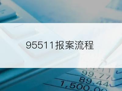 95511报案流程