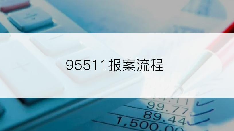 95511报案流程