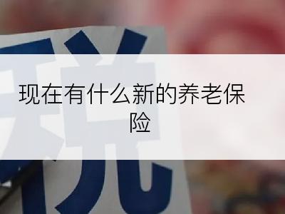 现在有什么新的养老保险