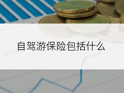 自驾游保险包括什么