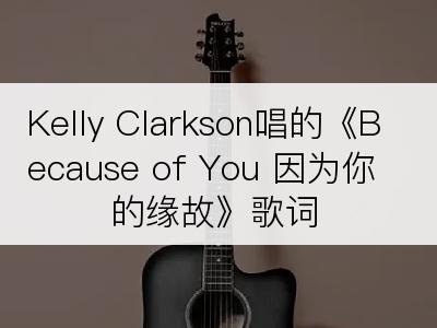 Kelly Clarkson唱的《Because of You 因为你的缘故》歌词