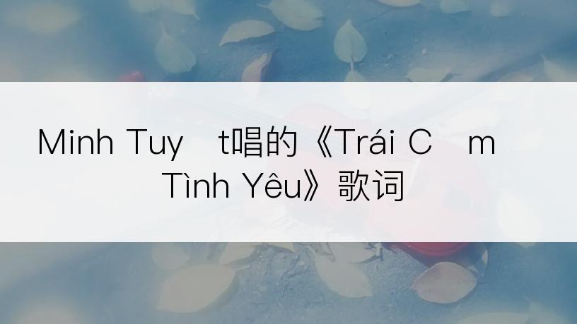 Minh Tuyết唱的《Trái Cấm Tình Yêu》歌词