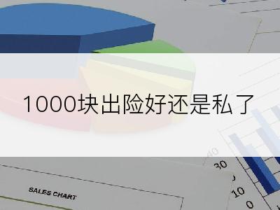 1000块出险好还是私了