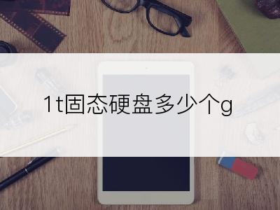 1t固态硬盘多少个g