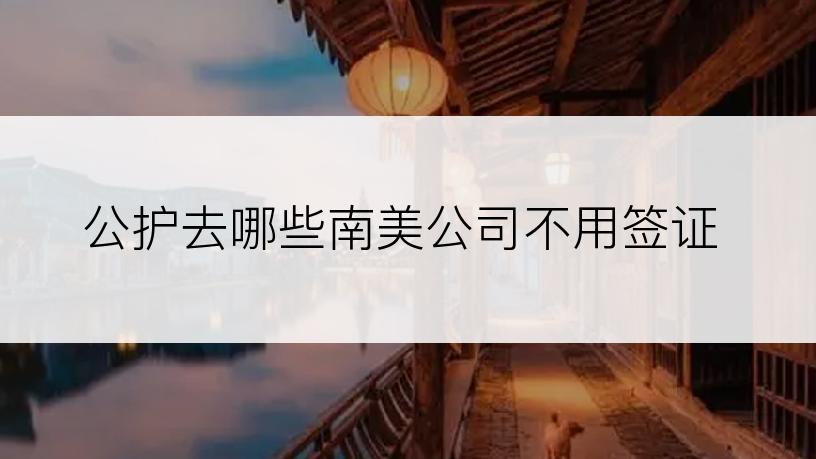 公护去哪些南美公司不用签证