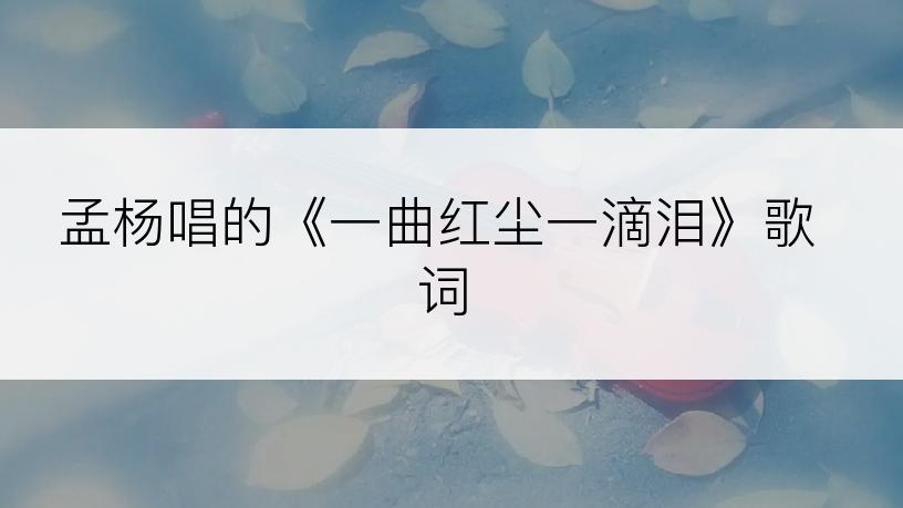 孟杨唱的《一曲红尘一滴泪》歌词