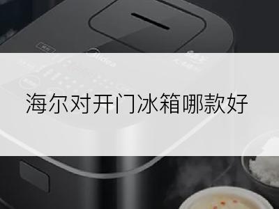 海尔对开门冰箱哪款好