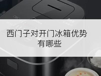 西门子对开门冰箱优势有哪些