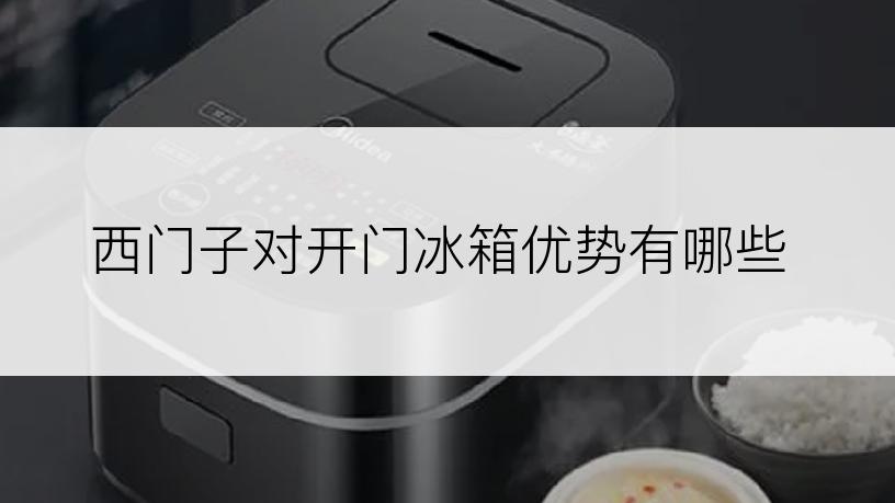 西门子对开门冰箱优势有哪些