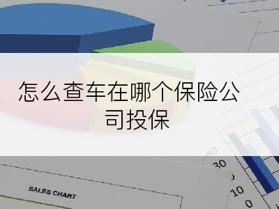 怎么查车在哪个保险公司投保