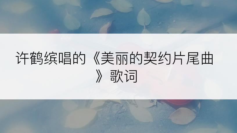 许鹤缤唱的《美丽的契约片尾曲》歌词