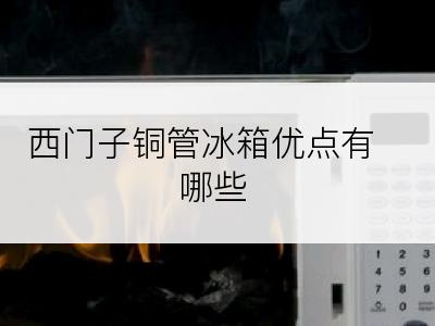 西门子铜管冰箱优点有哪些