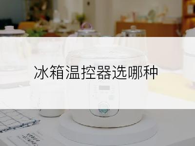 冰箱温控器选哪种