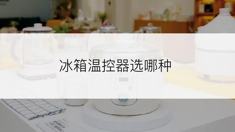 冰箱温控器选哪种