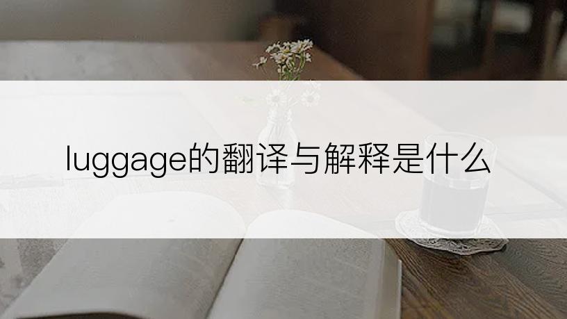 luggage的翻译与解释是什么