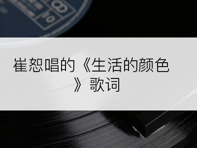 崔恕唱的《生活的颜色》歌词