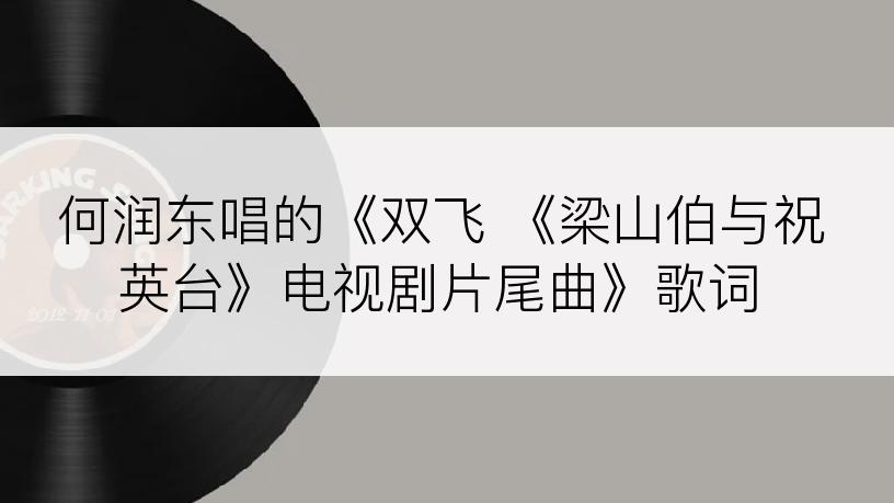 何润东唱的《双飞 《梁山伯与祝英台》电视剧片尾曲》歌词