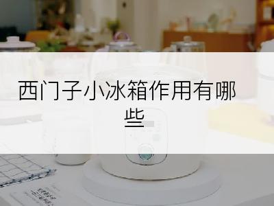 西门子小冰箱作用有哪些