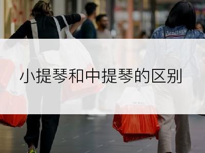 小提琴和中提琴的区别