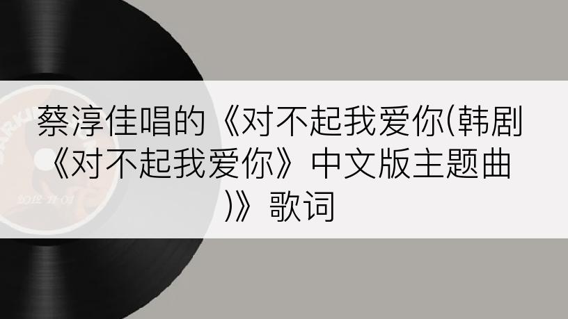 蔡淳佳唱的《对不起我爱你(韩剧《对不起我爱你》中文版主题曲)》歌词