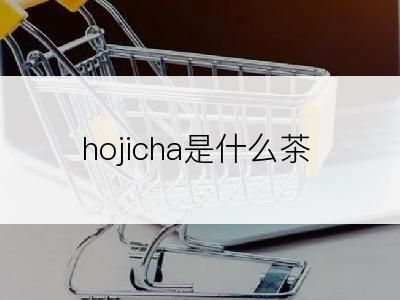 hojicha是什么茶