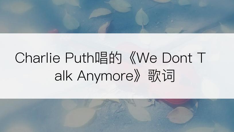 Charlie Puth唱的《We Dont Talk Anymore》歌词