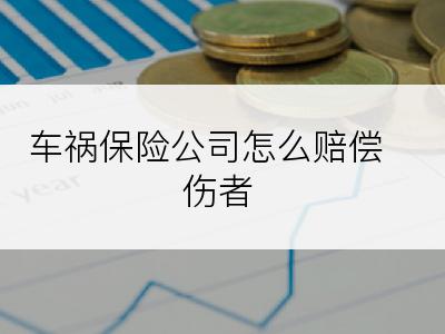 车祸保险公司怎么赔偿伤者