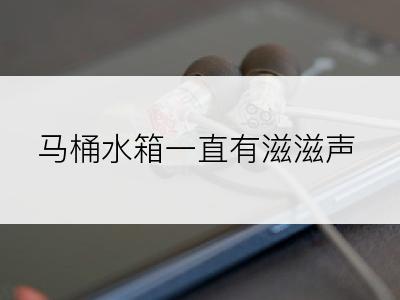 马桶水箱一直有滋滋声