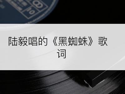 陆毅唱的《黑蜘蛛》歌词