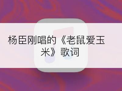 杨臣刚唱的《老鼠爱玉米》歌词