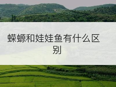 蝾螈和娃娃鱼有什么区别