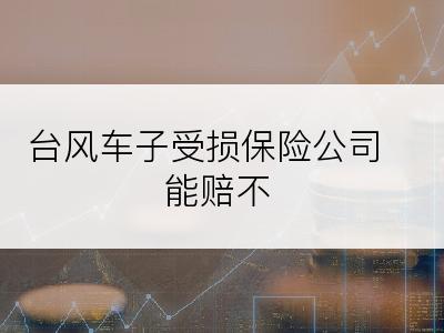 台风车子受损保险公司能赔不