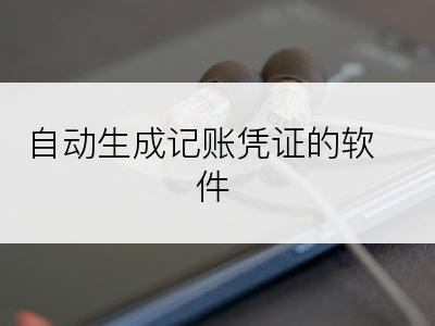 自动生成记账凭证的软件