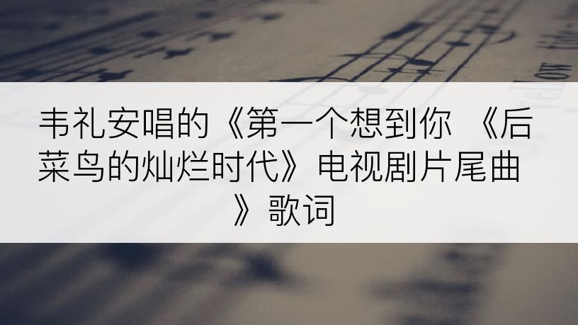 韦礼安唱的《第一个想到你 《后菜鸟的灿烂时代》电视剧片尾曲》歌词