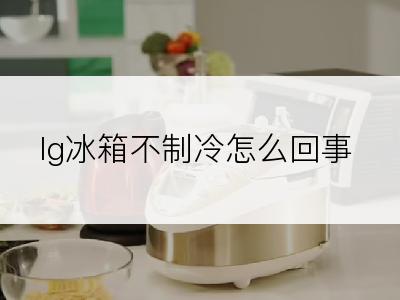 lg冰箱不制冷怎么回事