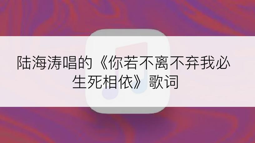 陆海涛唱的《你若不离不弃我必生死相依》歌词