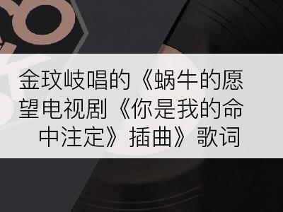 金玟岐唱的《蜗牛的愿望电视剧《你是我的命中注定》插曲》歌词