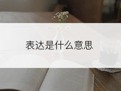 表达是什么意思